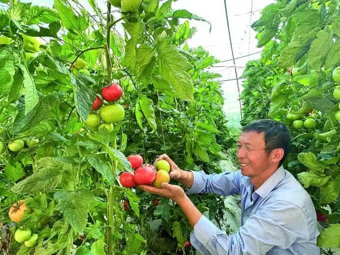 为什么全世界只有中国人实现了“蔬菜自由”？竟是中国顶级特权？